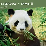 L'immersion Tourangelle Tours