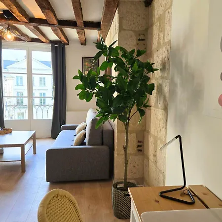 Apartamento L'immersion Tourangelle