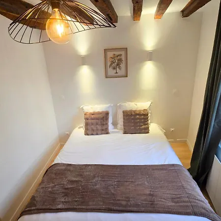 Appartement L'immersion Tourangelle