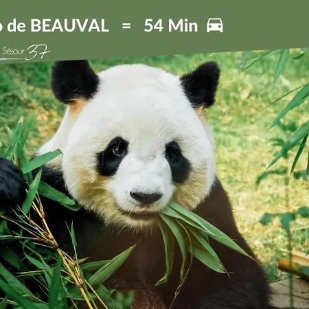 L'immersion Tourangelle Tours