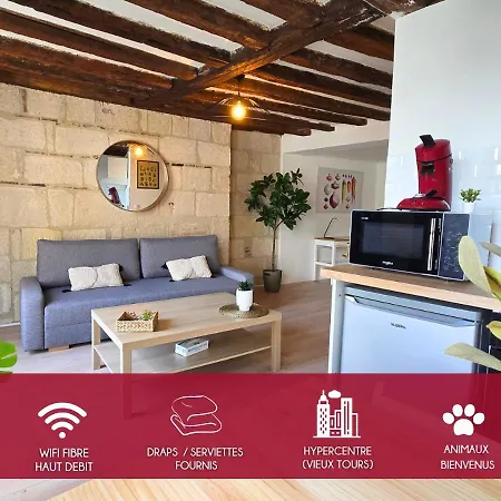 L'immersion Tourangelle Appartement