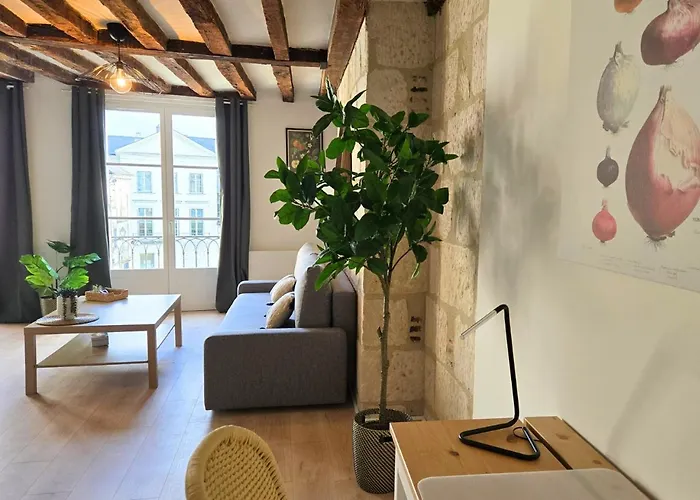 Appartamento L'immersion Tourangelle