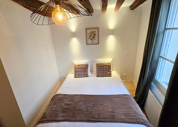 شقة L'immersion Tourangelle