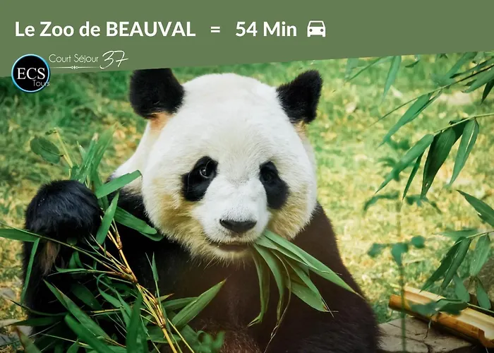 L'immersion Tourangelle Tours