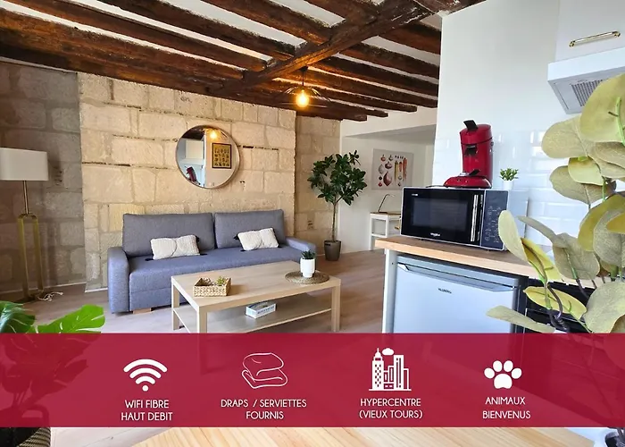 L'immersion Tourangelle Appartamento